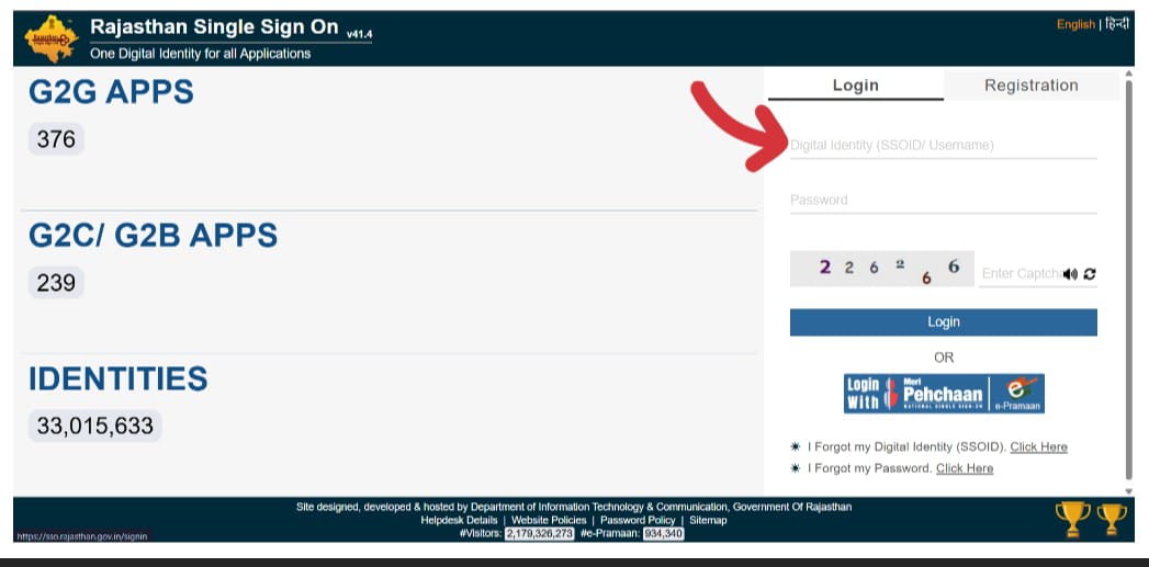 SSO ID Login